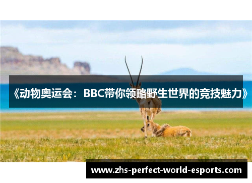 《动物奥运会：BBC带你领略野生世界的竞技魅力》